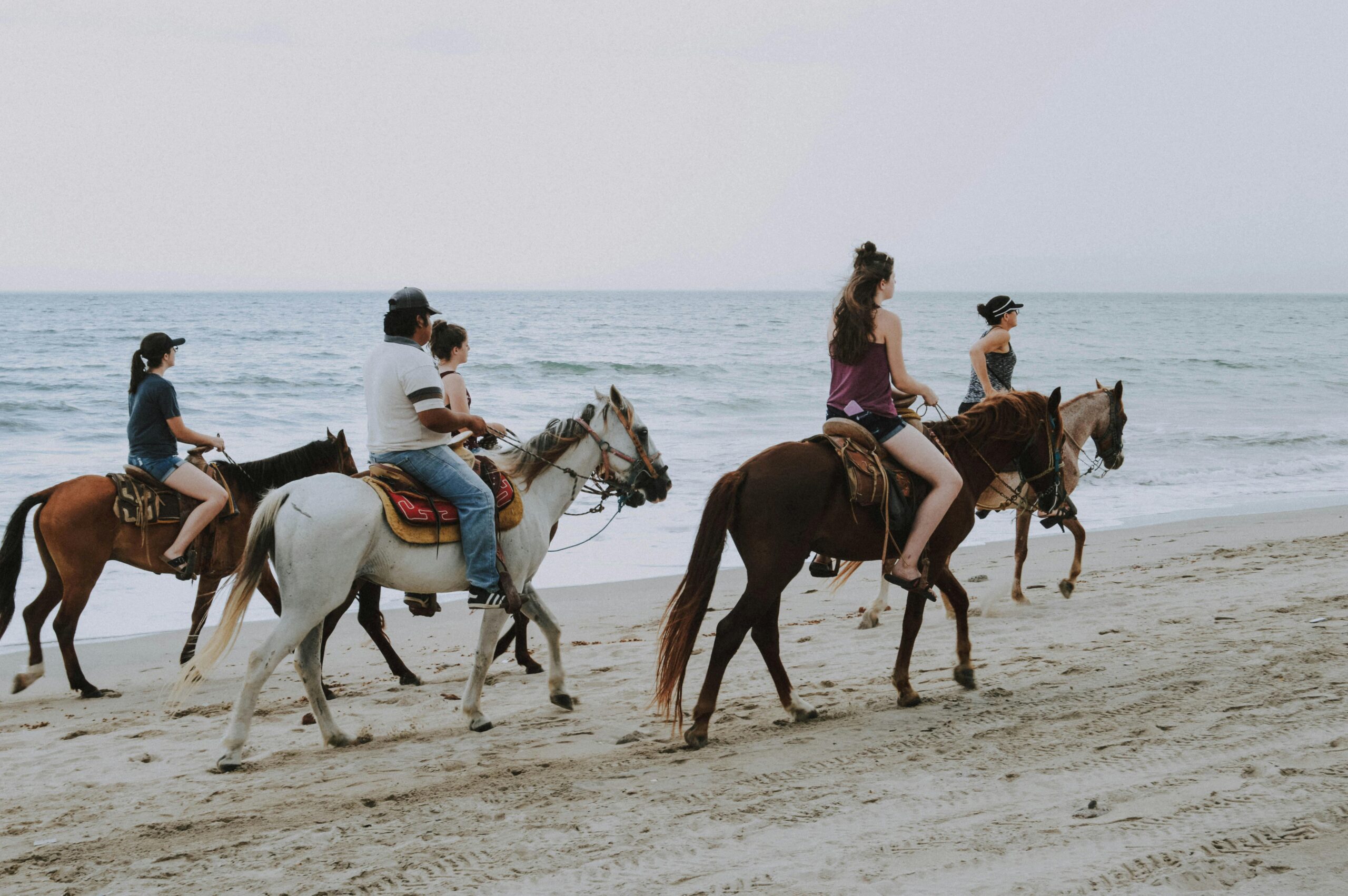 Discovering the Beauty of Horse Riding on the Beach