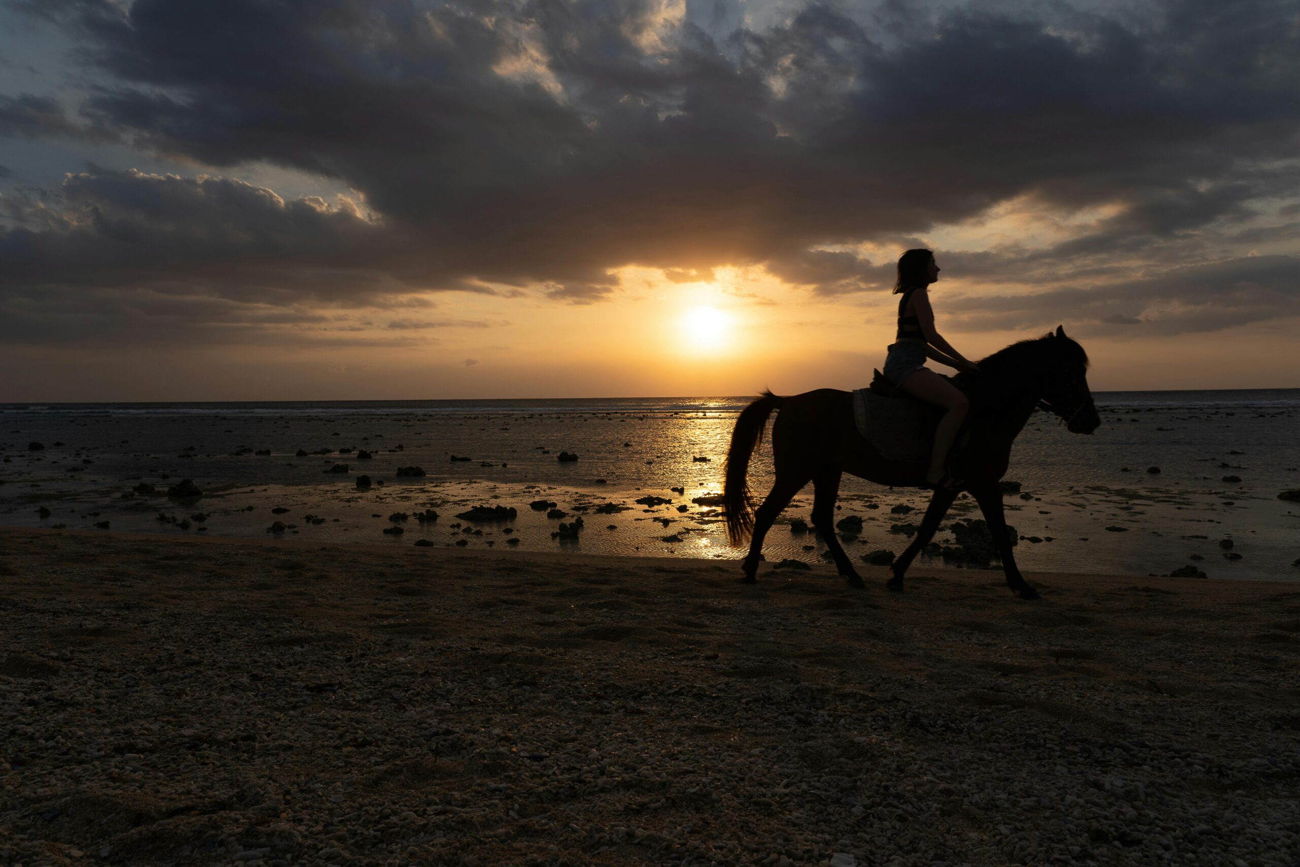 Why You Should Try Horseback Riding at Virginia Key Beach Park