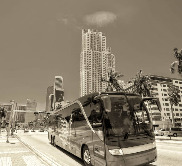 A Taste of Miami: Culinary Stops on the Big Bus Tour