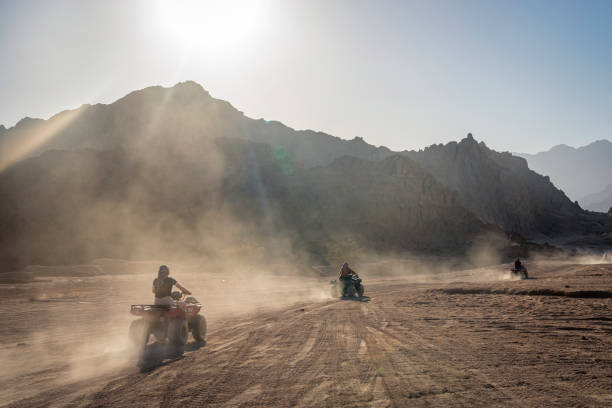 The Adventure Awaits: Key Highlights of ATV Tours