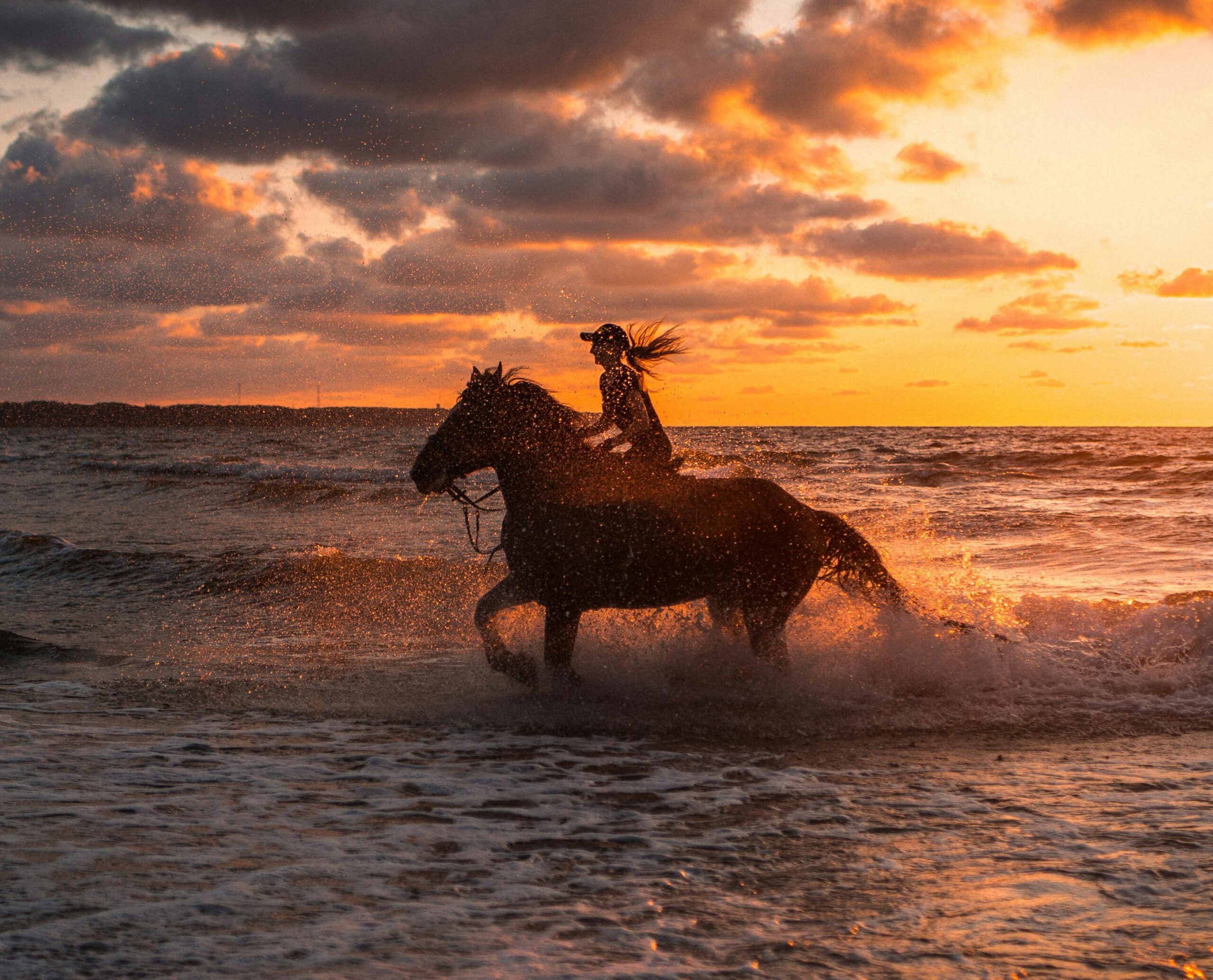 Horseback Riding on the Beach in Florida This Valentine’s Day